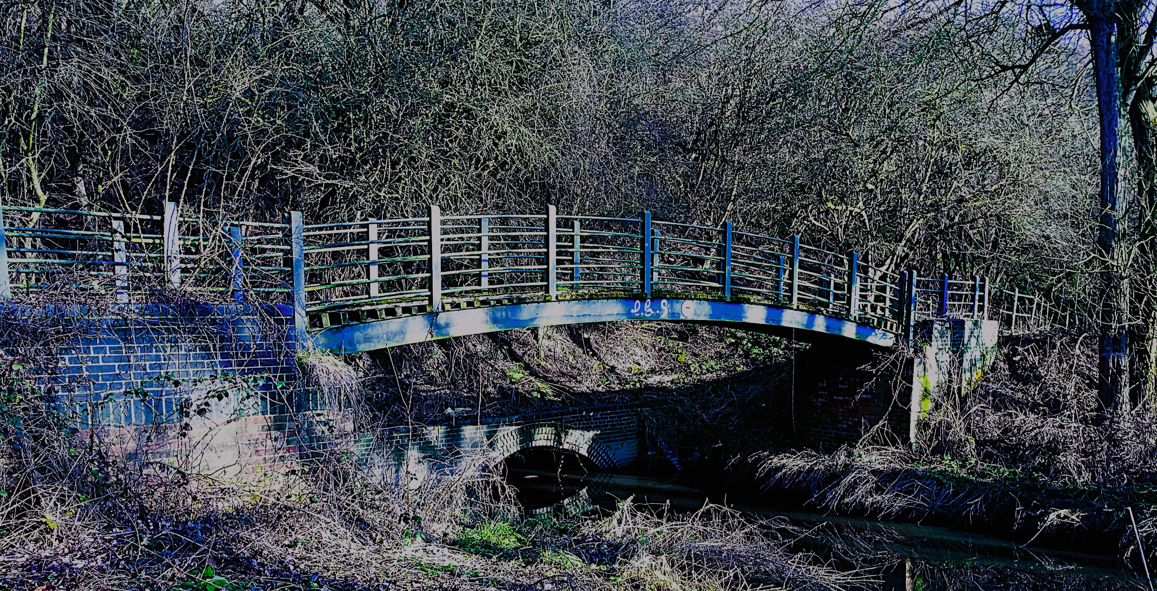 Abstract warm interconnected pattern representing global tapestry